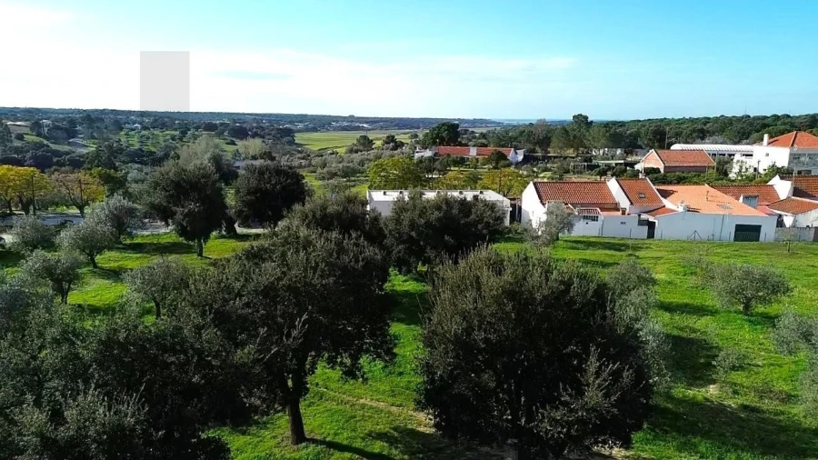 Terreno para Venda em Melides Foto 21
