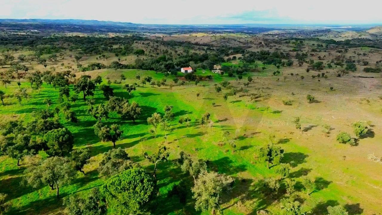 Terreno para Venda em Grândola e Santa Margarida da Serra Foto 16