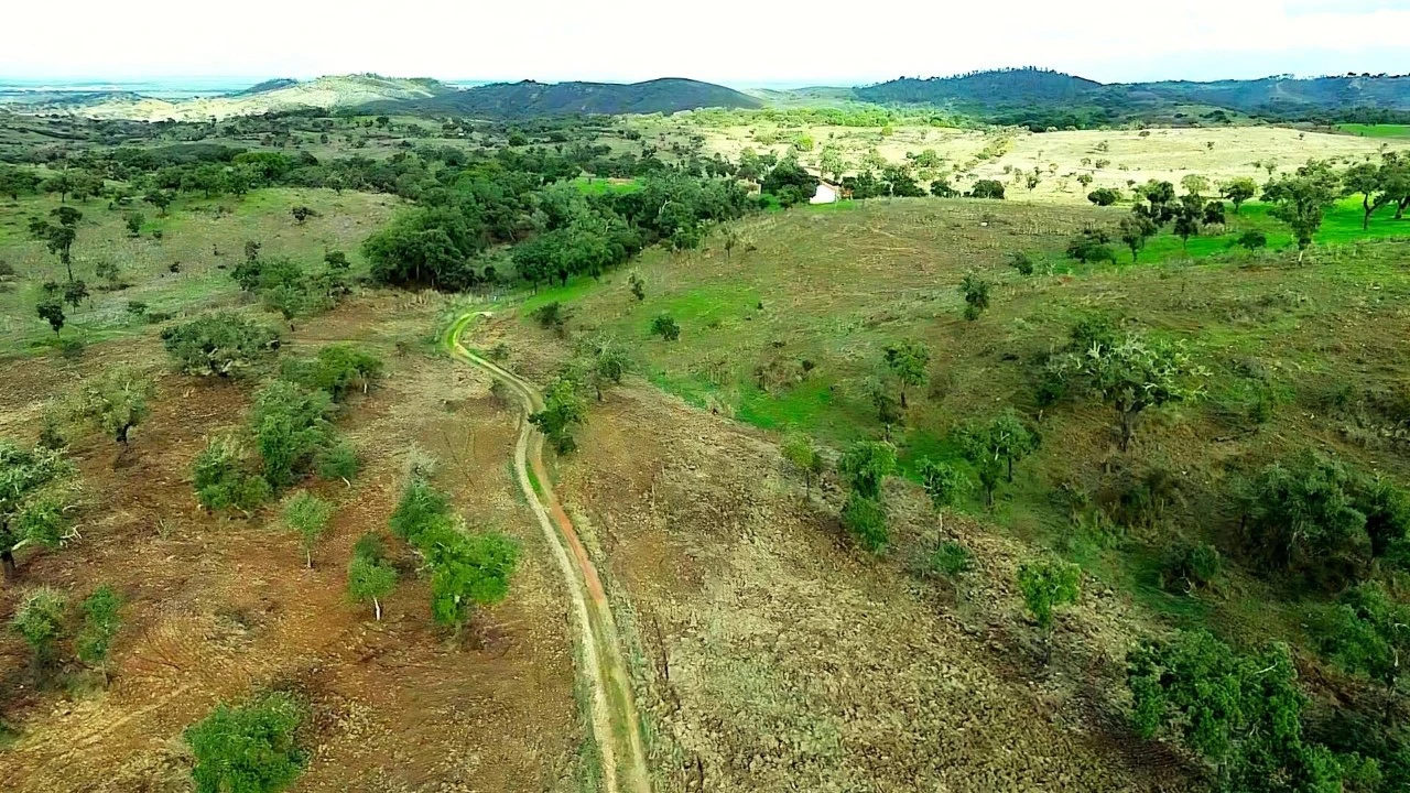 Terreno para Venda em Grândola e Santa Margarida da Serra Foto 26