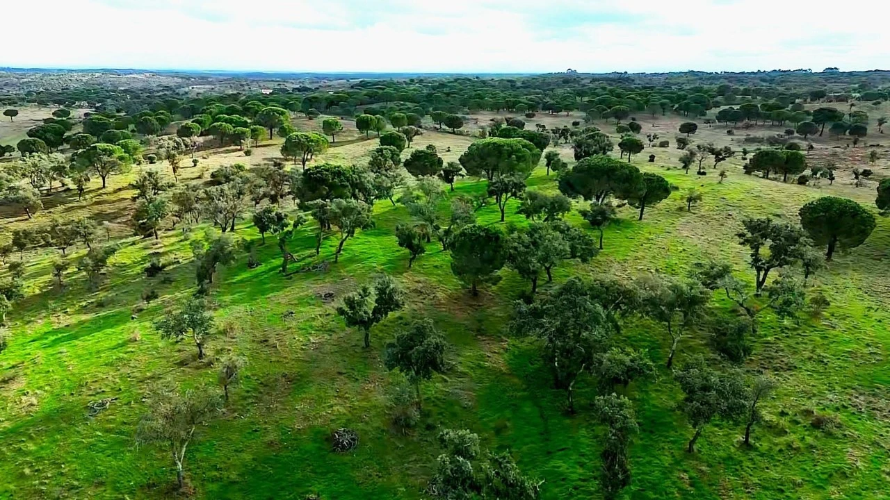 Terreno para Venda em Grândola e Santa Margarida da Serra Foto 29