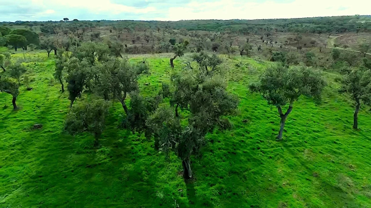 Terreno para Venda em Grândola e Santa Margarida da Serra Foto 30