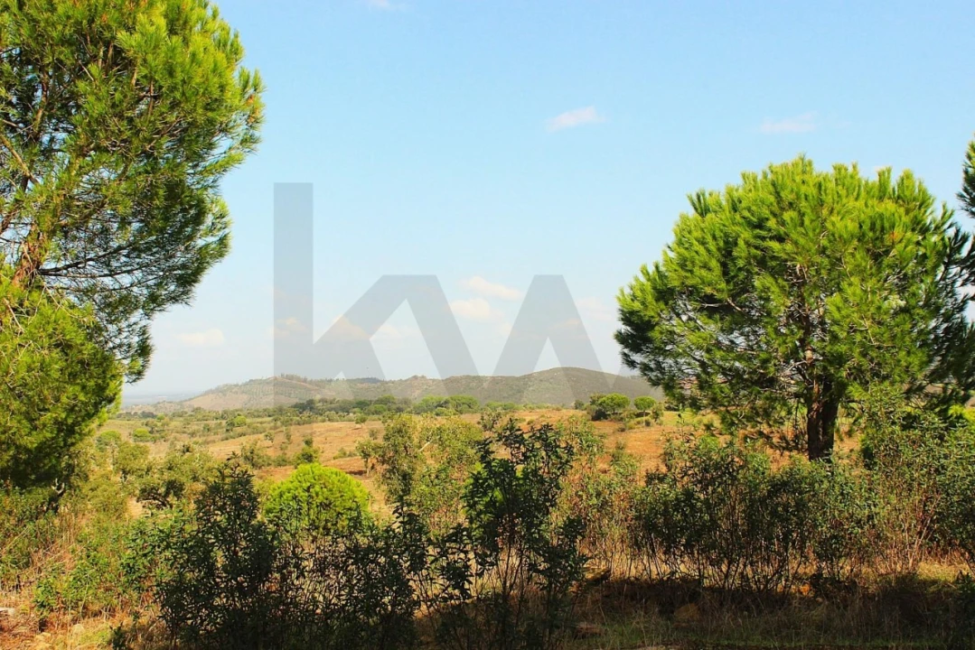 Terreno para Venda em Grândola e Santa Margarida da Serra Foto 32