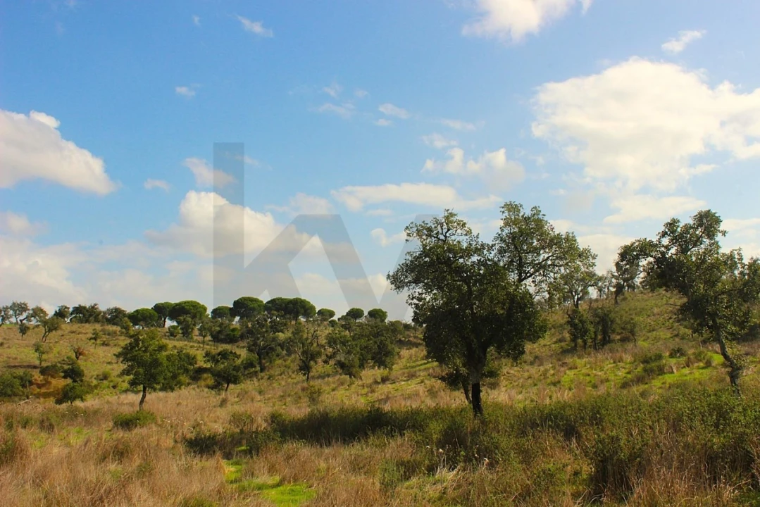 Terreno para Venda em Grândola e Santa Margarida da Serra Foto 36