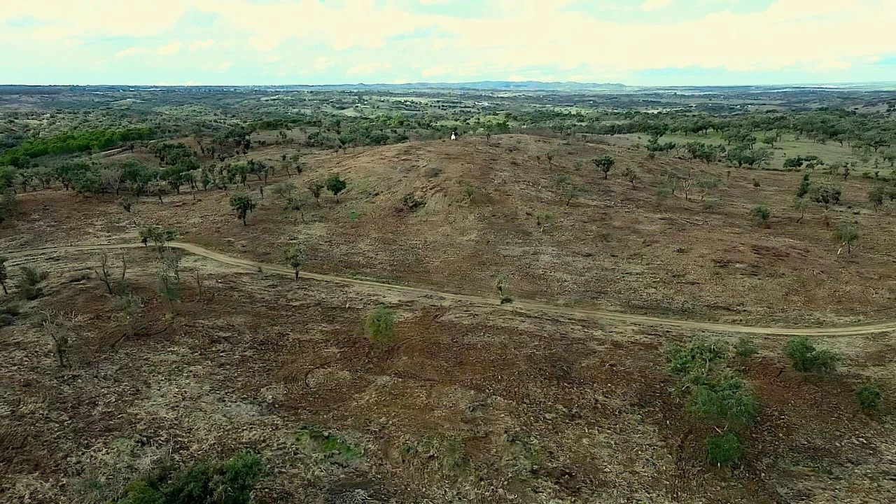 Terreno para Venda em Grândola e Santa Margarida da Serra Foto 39