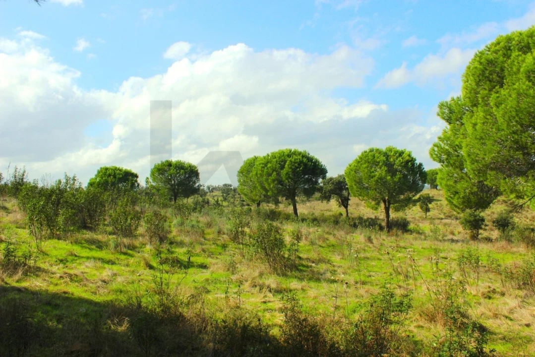 Terreno para Venda em Grândola e Santa Margarida da Serra Foto 6
