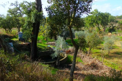 Terreno para Venda em Grândola e Santa Margarida da Serra