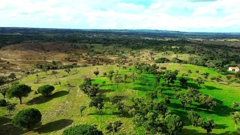 Terreno para Venda em Grândola e Santa Margarida da Serra