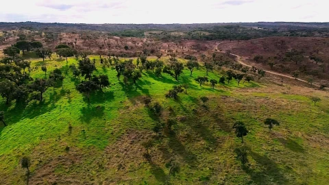 Terreno para Venda em Grândola e Santa Margarida da Serra