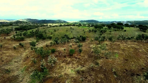 Terreno para Venda em Grândola e Santa Margarida da Serra