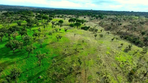 Terreno para Venda em Grândola e Santa Margarida da Serra