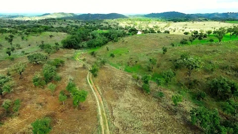 Terreno para Venda em Grândola e Santa Margarida da Serra