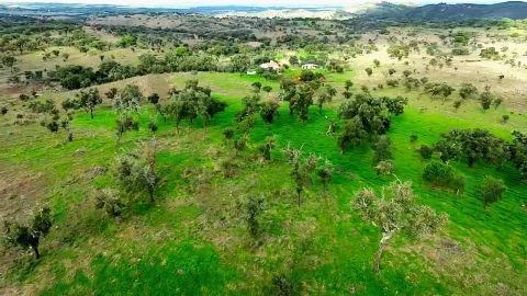 Terreno para Venda em Grândola e Santa Margarida da Serra