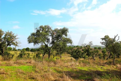 Terreno para Venda em Grândola e Santa Margarida da Serra