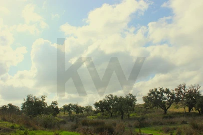 Terreno para Venda em Grândola e Santa Margarida da Serra