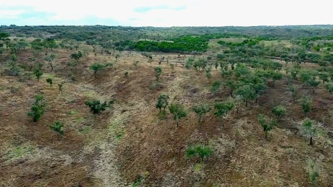 Terreno para Venda em Grândola e Santa Margarida da Serra