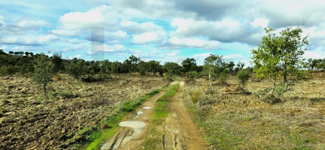 Terreno para Venda em Grândola e Santa Margarida da Serra Foto 1