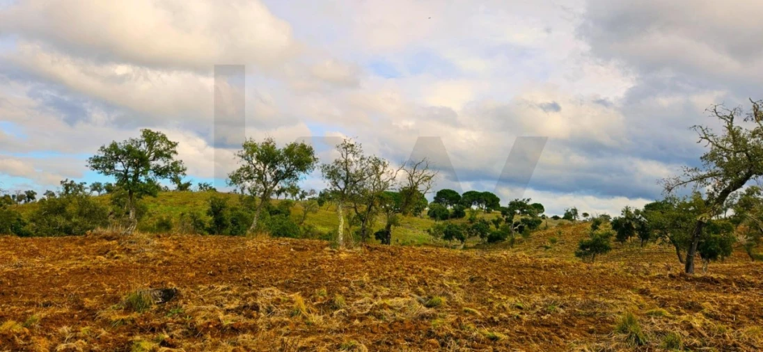 Terreno para Venda em Grândola e Santa Margarida da Serra Foto 3
