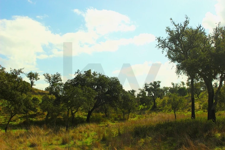 Terreno para Venda em Grândola e Santa Margarida da Serra Foto 19