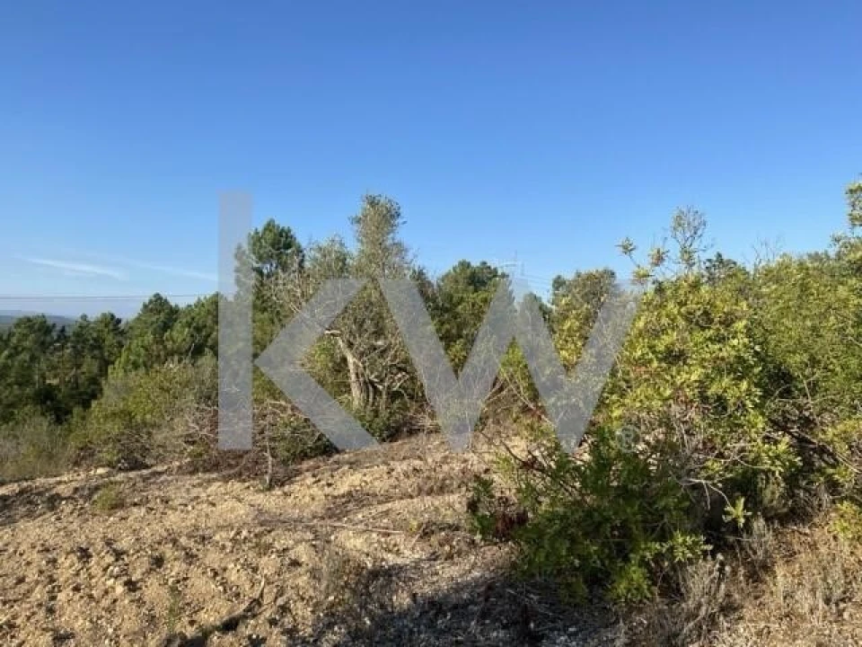 Terreno para Venda em Azoia de Cima e Tremês Foto 2
