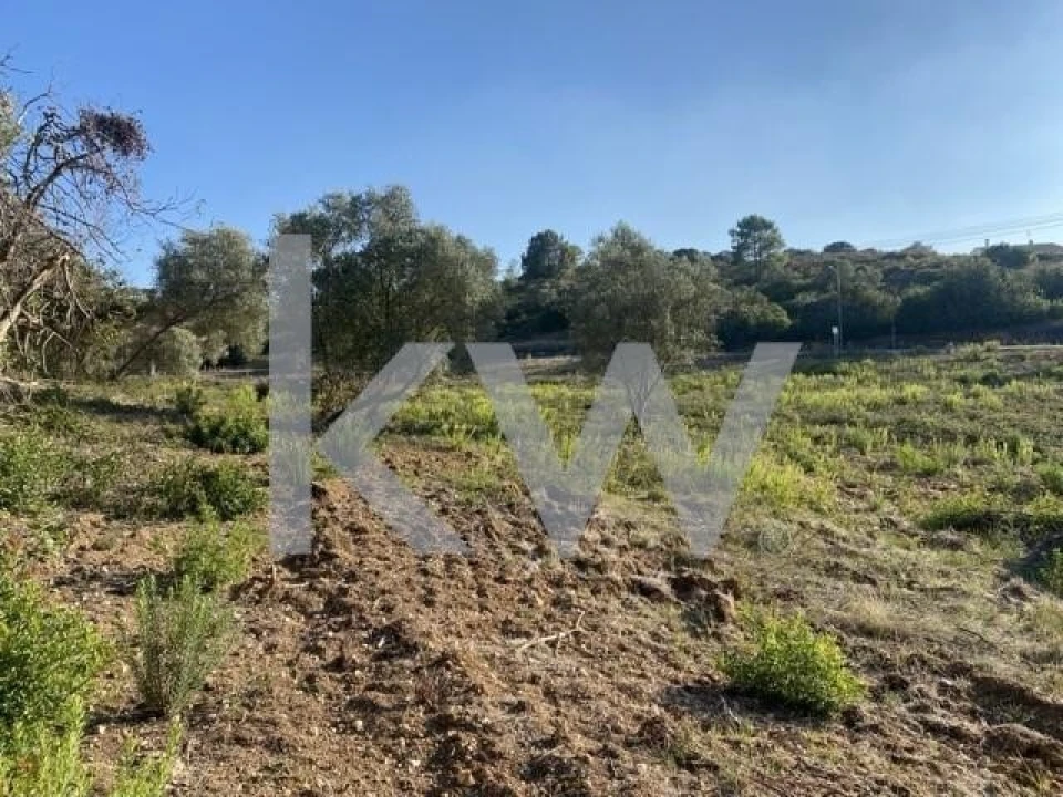 Terreno para Venda em Azoia de Cima e Tremês Foto 4