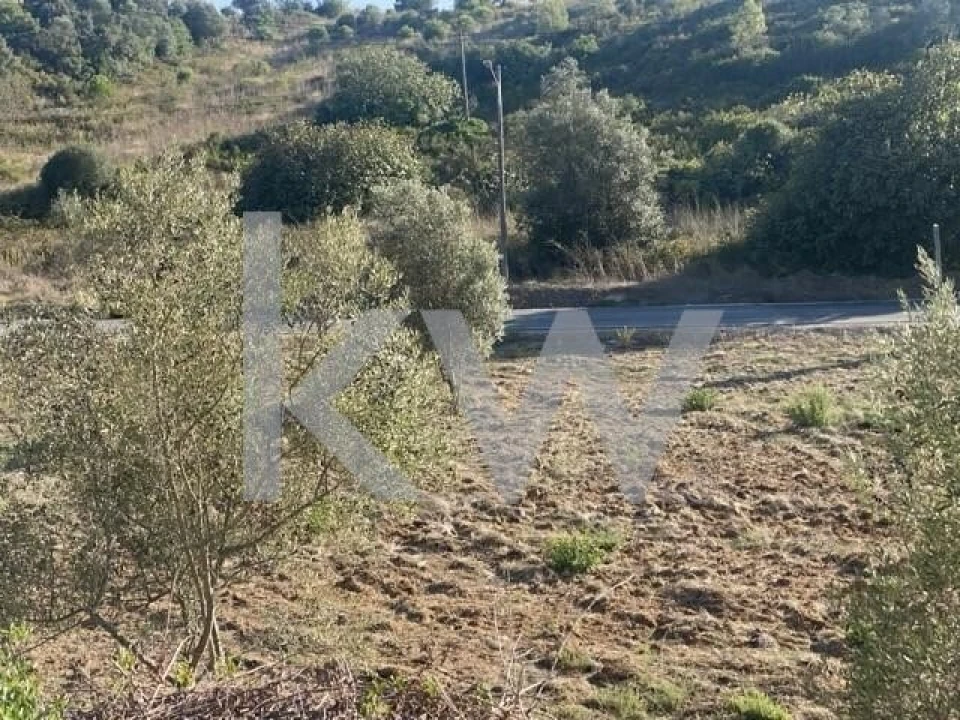 Terreno para Venda em Azoia de Cima e Tremês Foto 7