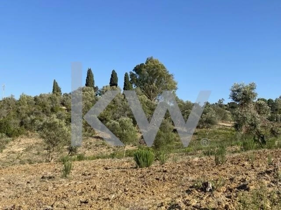 Terreno para Venda em Azoia de Cima e Tremês Foto 9