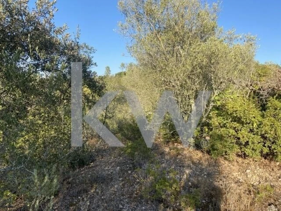 Terreno para Venda em Azoia de Cima e Tremês Foto 10