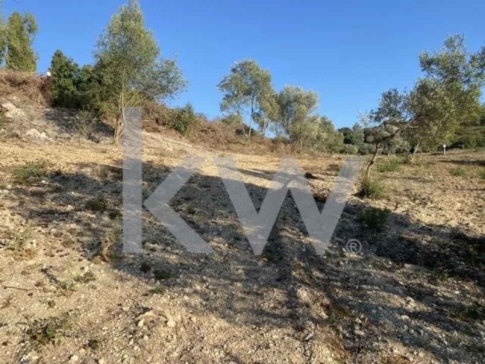 Terreno para Venda em Azoia de Cima e Tremês Foto 13