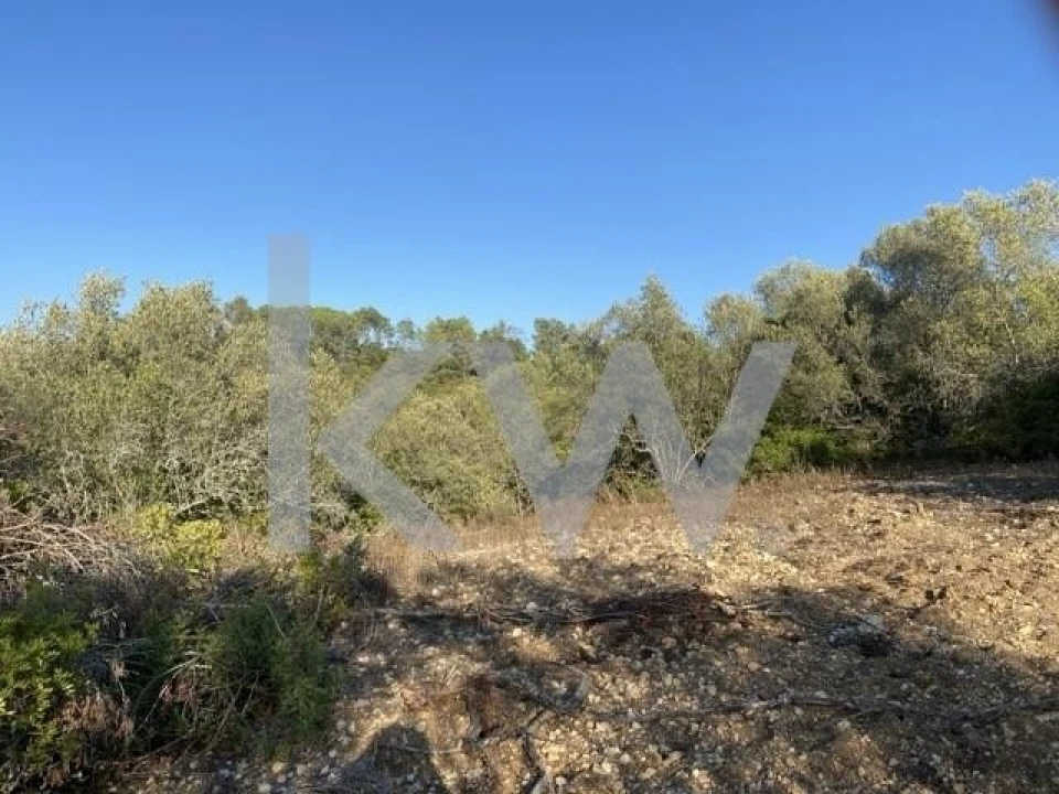 Terreno para Venda em Azoia de Cima e Tremês Foto 18
