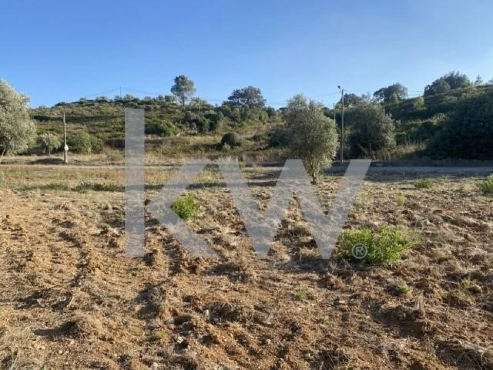 Terreno para Venda em Azoia de Cima e Tremês Foto 20