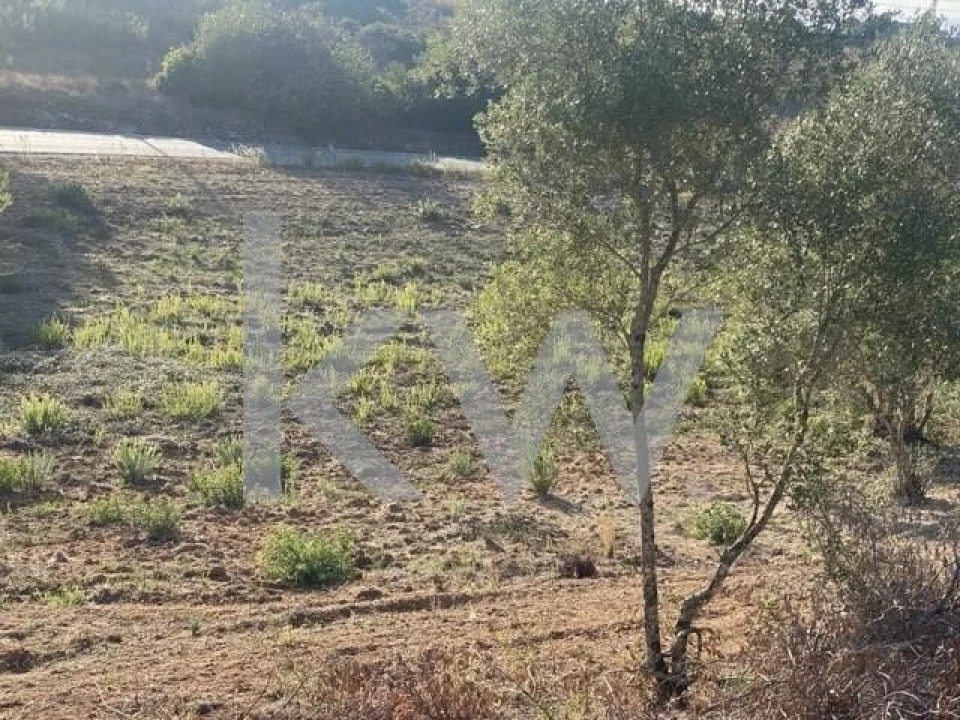 Terreno para Venda em Azoia de Cima e Tremês Foto 22