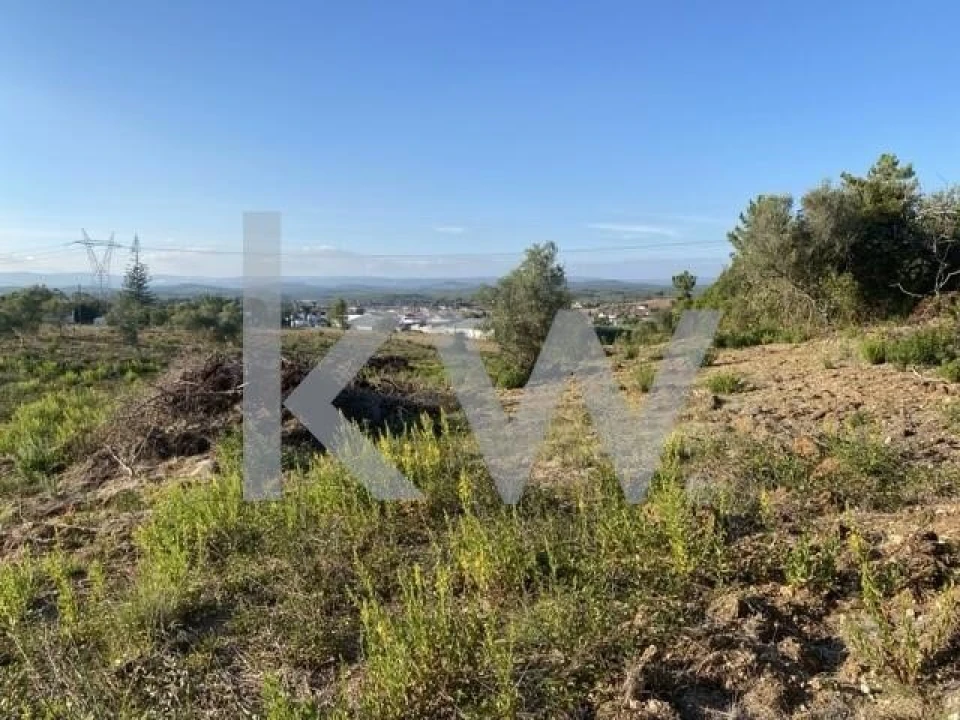 Terreno para Venda em Azoia de Cima e Tremês Foto 24