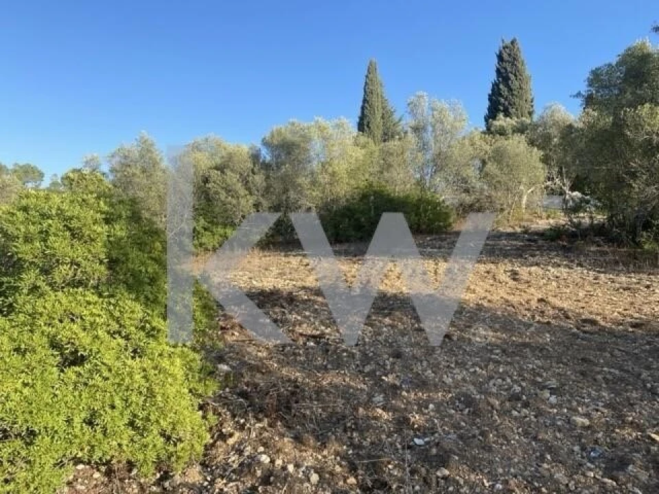 Terreno para Venda em Azoia de Cima e Tremês Foto 28