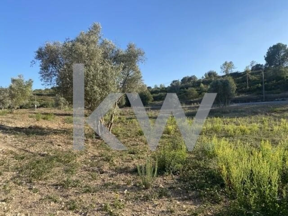 Terreno para Venda em Azoia de Cima e Tremês Foto 29