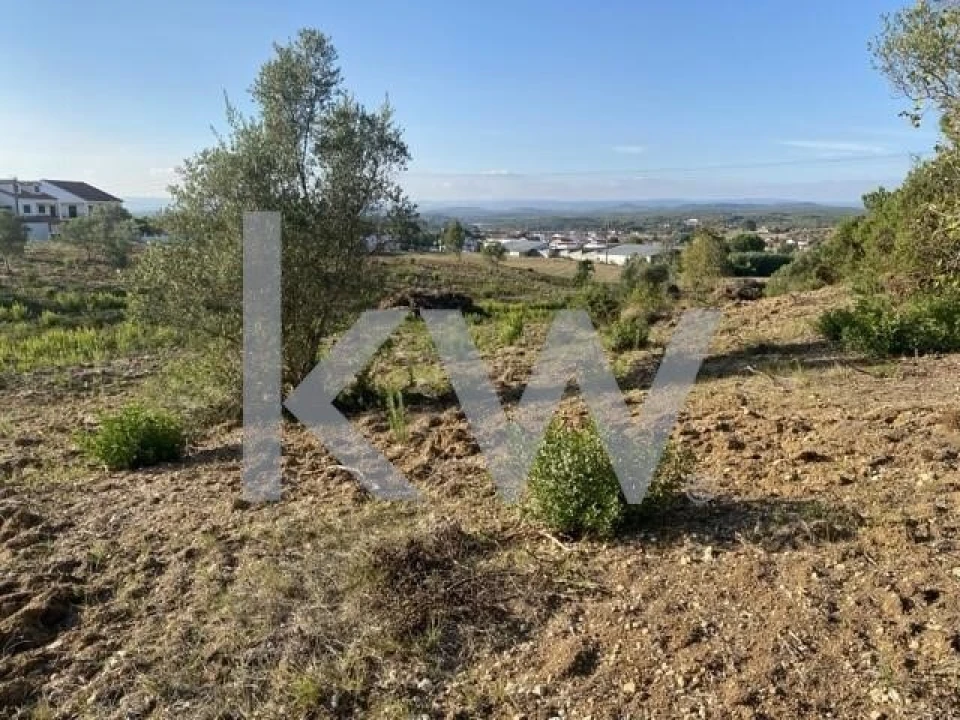Terreno para Venda em Azoia de Cima e Tremês Foto 30