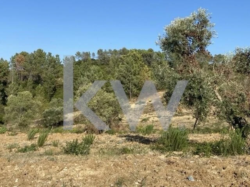 Terreno para Venda em Azoia de Cima e Tremês Foto 32