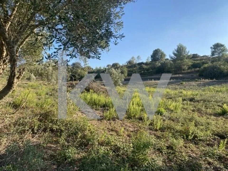 Terreno para Venda em Azoia de Cima e Tremês Foto 33
