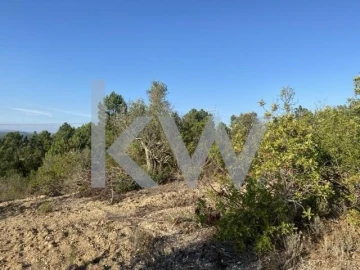 Terreno para Venda em Azoia de Cima e Tremês