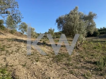 Terreno para Venda em Azoia de Cima e Tremês