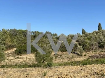 Terreno para Venda em Azoia de Cima e Tremês