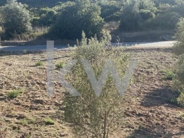 Terreno para Venda em Azoia de Cima e Tremês