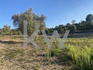 Terreno para Venda em Azoia de Cima e Tremês