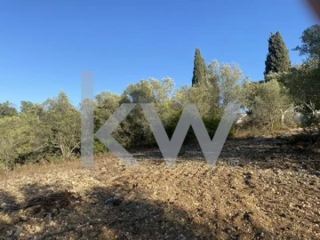 Terreno para Venda em Azoia de Cima e Tremês