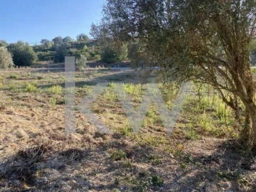 Terreno para Venda em Azoia de Cima e Tremês