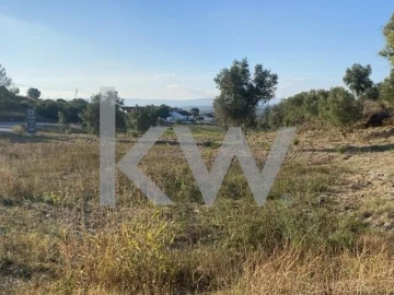 Terreno para Venda em Azoia de Cima e Tremês