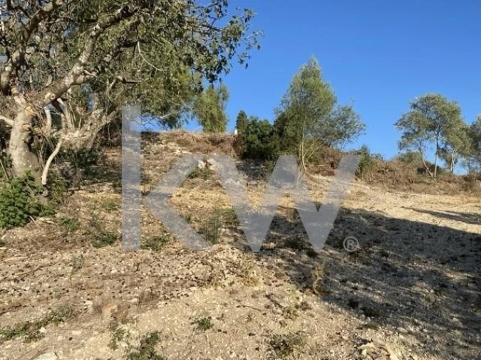 Terreno para Venda em Azoia de Cima e Tremês Foto 3