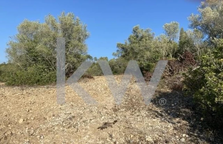Terreno para Venda em Azoia de Cima e Tremês Foto 5