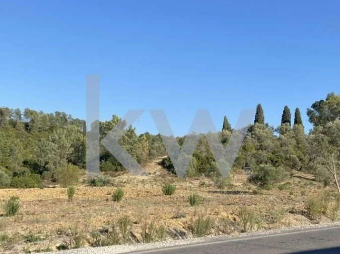 Terreno para Venda em Azoia de Cima e Tremês Foto 8