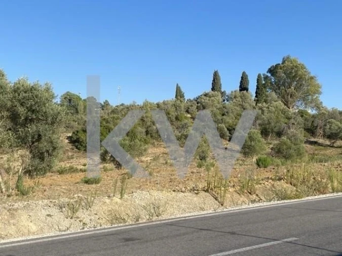 Terreno para Venda em Azoia de Cima e Tremês Foto 12