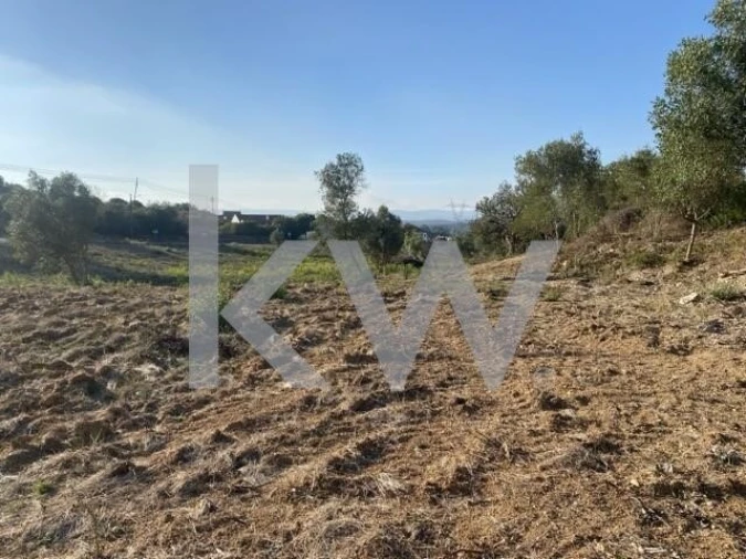 Terreno para Venda em Azoia de Cima e Tremês Foto 14